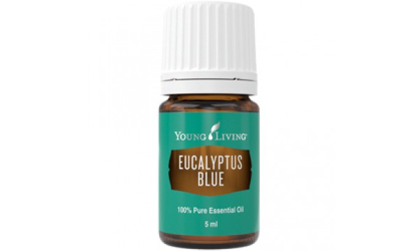 Eucalyptus Blue Essential Oil