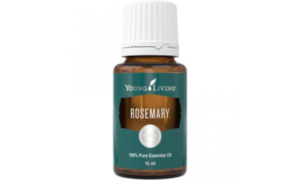 Rozmarinas (Rosemary)